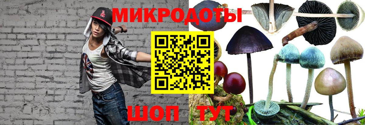 купить  сайты  Псилоцибиновые грибы Magic Shrooms  Вход с VPN  Карпинск 